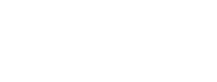 logo-denifisio